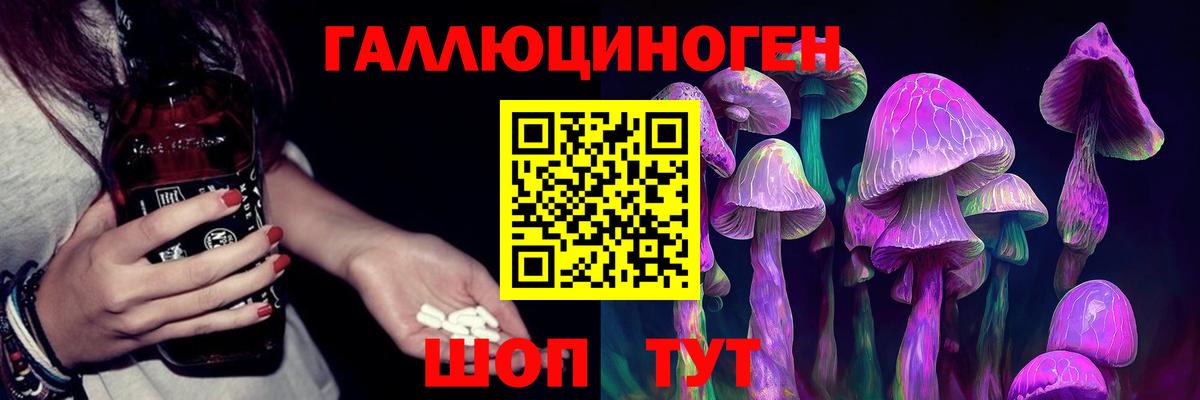 Псилоцибиновые грибы Psilocybine cubensis  Вход с VPN  Улан-Удэ  закладка  Псилоцибиновые грибы Magic Shrooms 